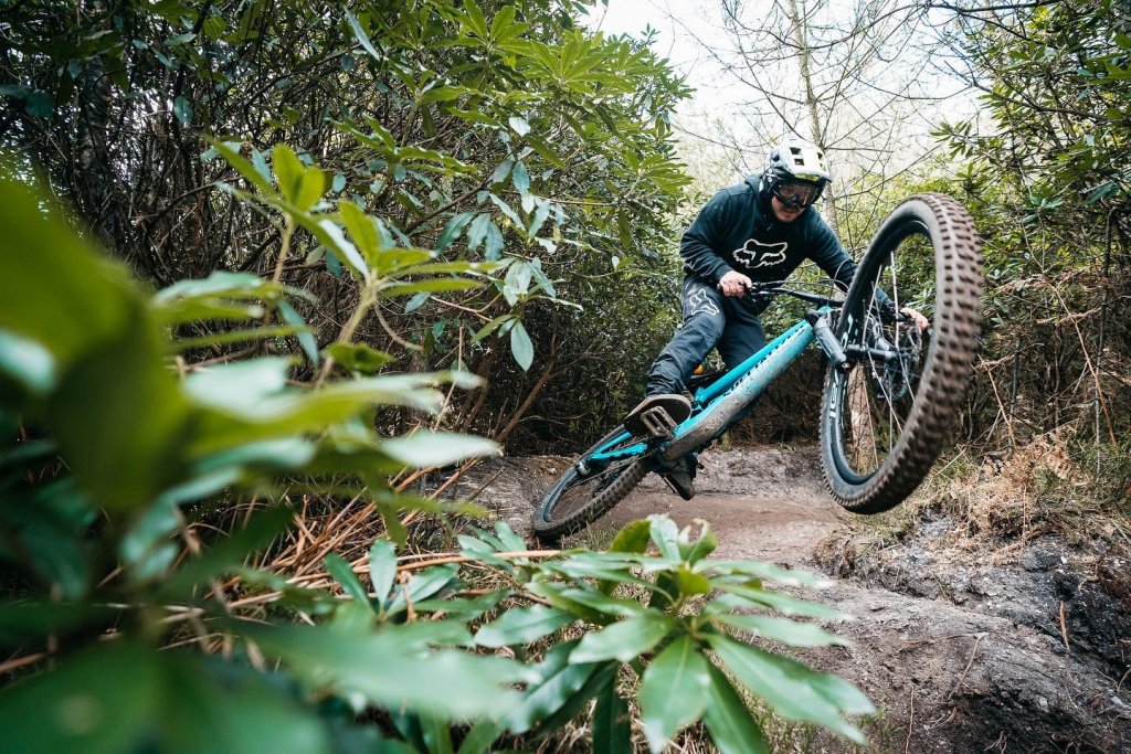 Mtb beds discount